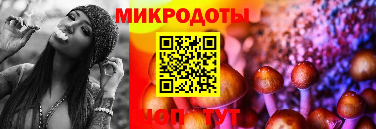 Галлюциногенные грибы мицелий  Вход с VPN  Семилуки  Псилоцибиновые грибы мицелий 